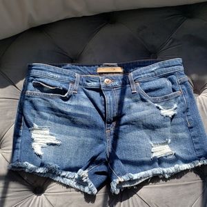Joe's Jean Shorts